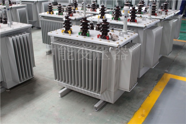 巴彦淖尔S22-250KVA/10KV变压器